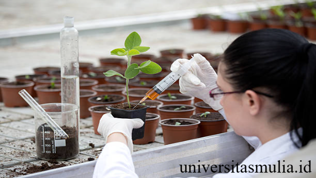 Jurusan Ilmu Tanah: Menyelami Potensi Lahan untuk Pertanian